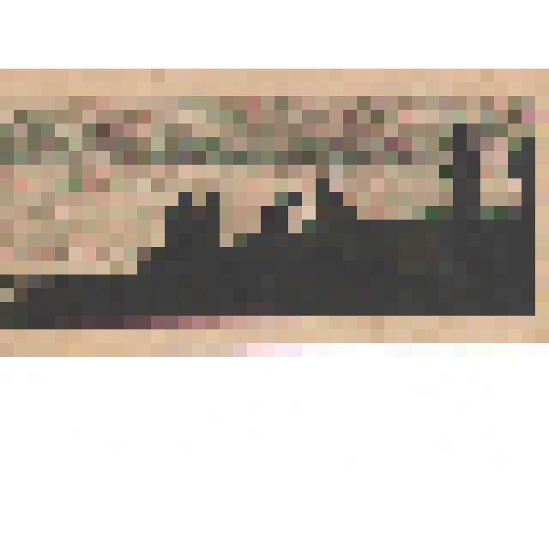 Рисунок Третьякова С.М. "Рыбалка" Адлер