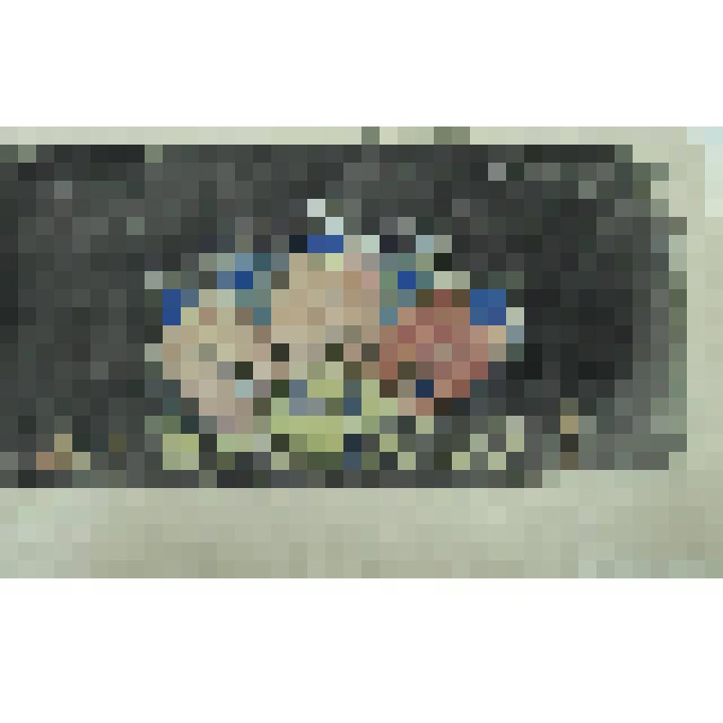 Орнамент. Цветок. Рисунок