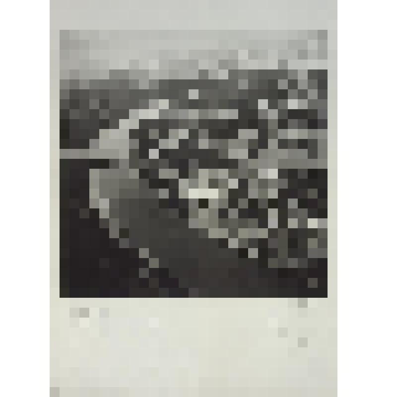 Лужники. Хамовнический Вал. Фотография