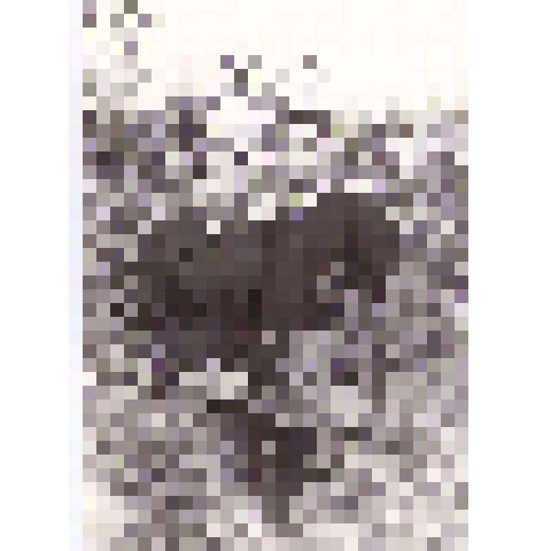 Фотография Галиакберова Зуфара Дильмухаметовича с супругой