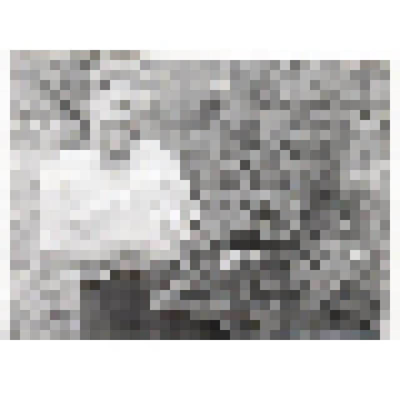 Фотография портретная  Хомутова Анатолия Степановича руководителя танцевального коллектива ГПТУ 75 с подарком за 1 место по области.1965 г