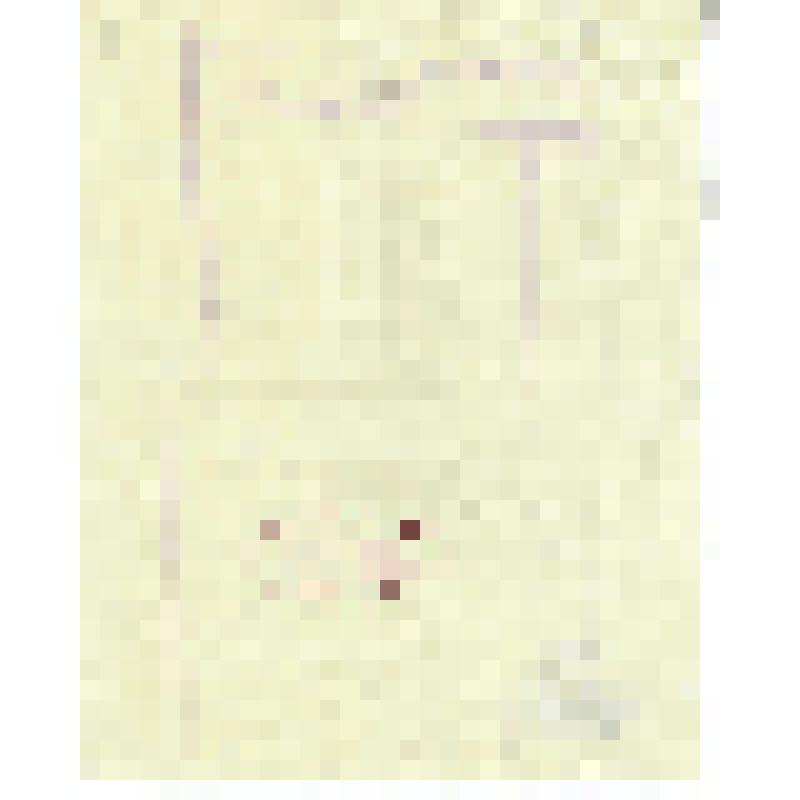 Российская социал-демократическая рабочая партия. Кавказский союз РСДРП. Подписной листок в пользу арестованных N 23