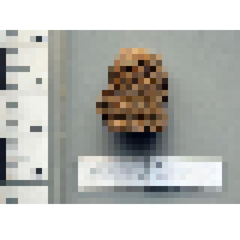 Венчик сосуда