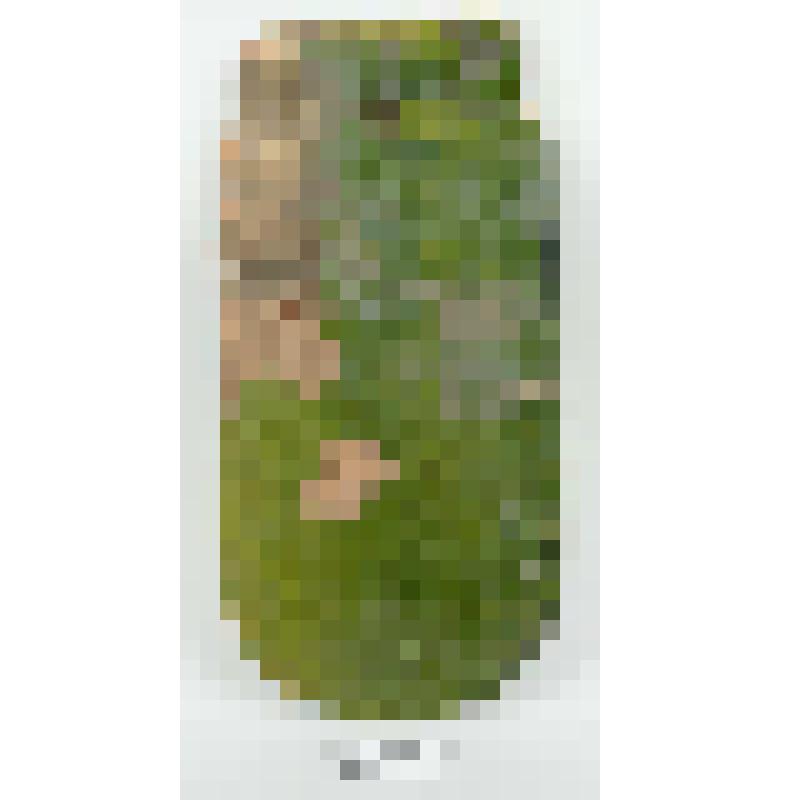 Черепица с закругленным завершением, зеленая