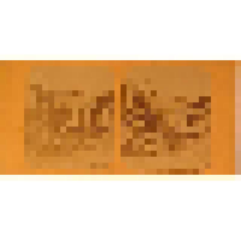 Наводнение в Лионе в 1856. Стереоскопическая пара снимков