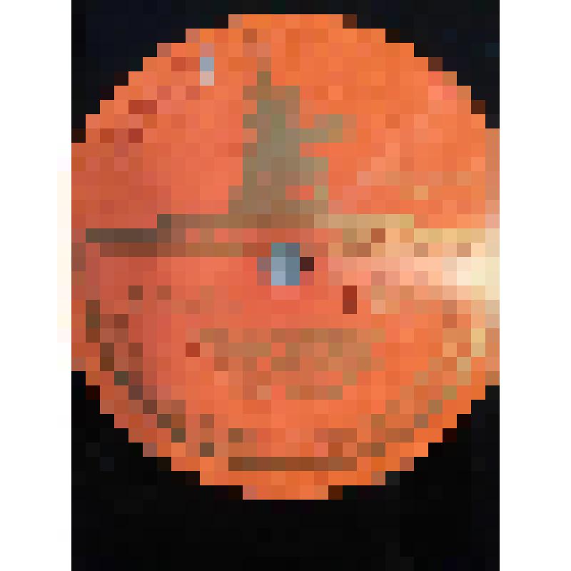 Грампластинка. Рассказ Деда Щукаря из романа М. Шолохова "Поднятая целина" (продолжение 2 и окончание). Исполняет Д. Орлов. "Поднятая целина"