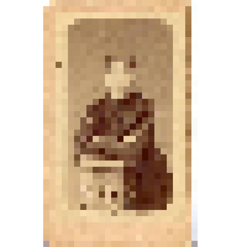 Фотография ч/б. Загорская Мария Яковлевна. Стоит, опираясь на тумбочку. Конец 1890-х гг