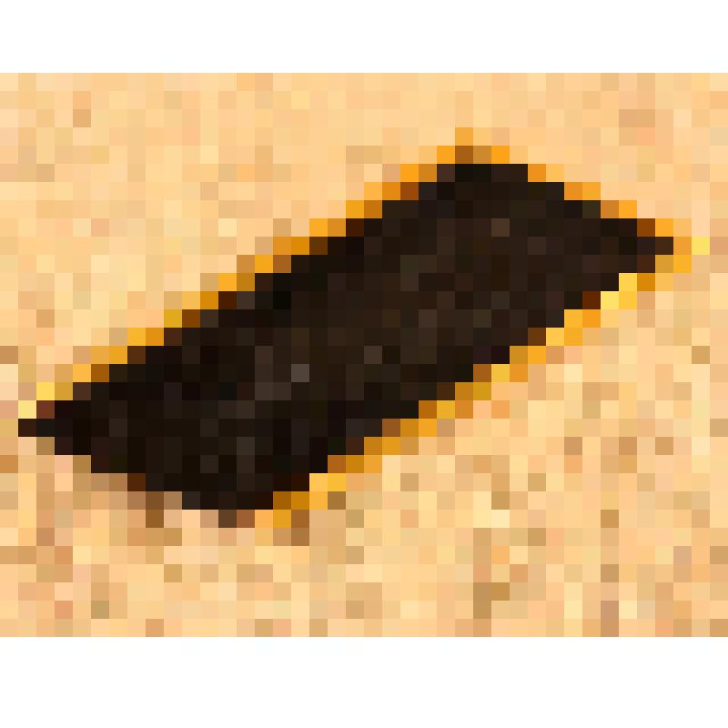 Петлица (правая) к парадно-выходному мундиру военнослужащего артиллерийских войск Вооруженных Сил СССР, из коллекции эмблем родов войск Вооруженных Сил СССР и РФ, форменных пуговиц и погон военнослужащих Советской и Российской армии