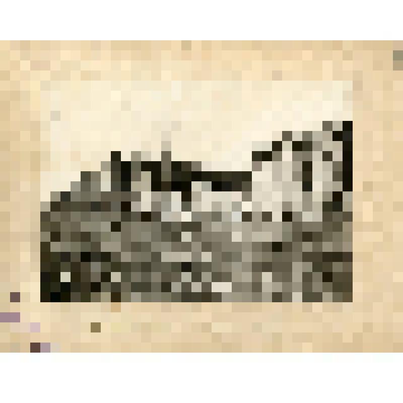 Фотография. Мучные и зерновые склады торгового дома «Кондратий Рейнеке и сыновья». - Из альбома «Фабрики и заводы г. Саратова. 1902»