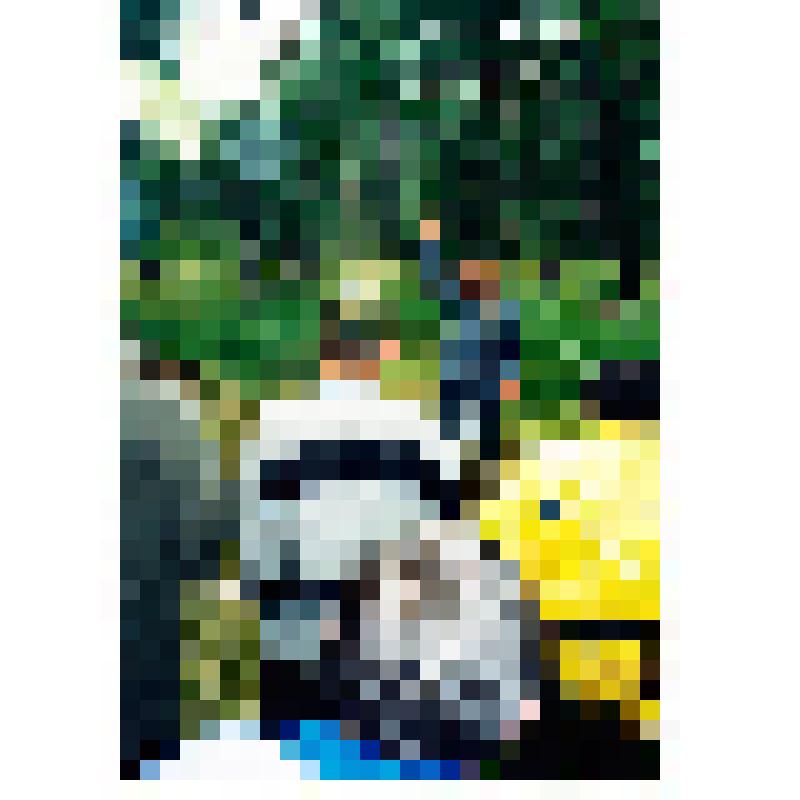 Фотография цветная "Пугурчин Василий Петрович с саблей"