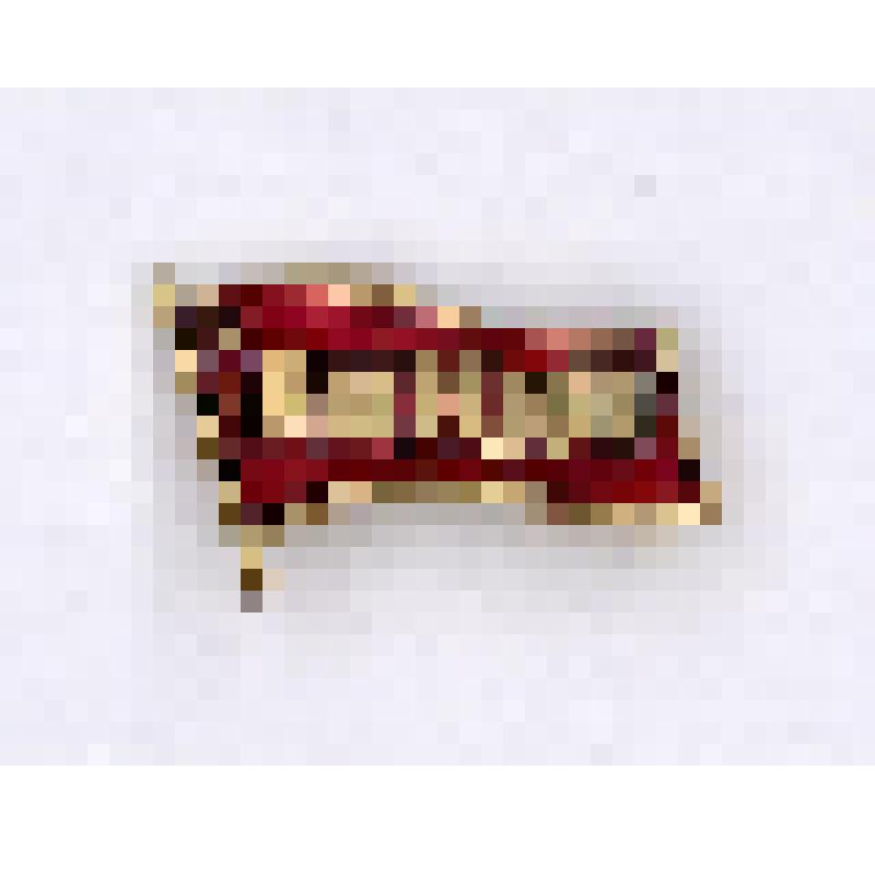 Значок "Ленин"