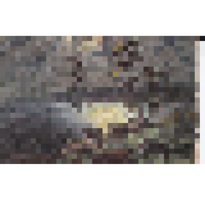 Почтовая карточка художественная с репродукцией картины А. Зотова «Лунная ночь»