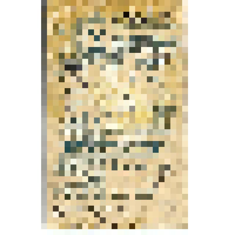 Фотопортрет. Гамалей Борис Викторович