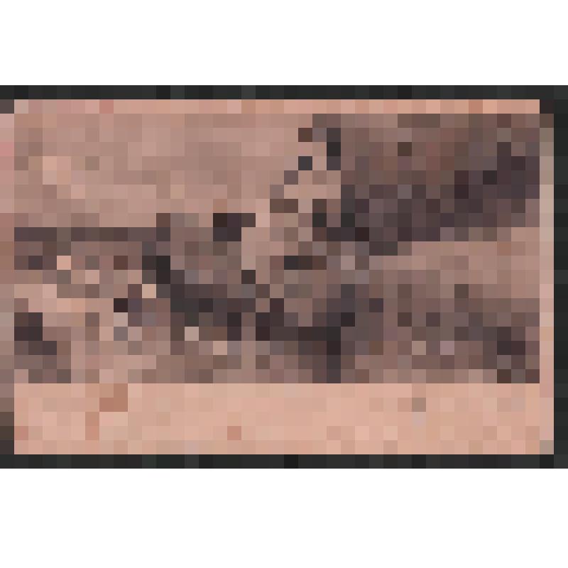 Открытка. Сафо. Серия 1, № 18