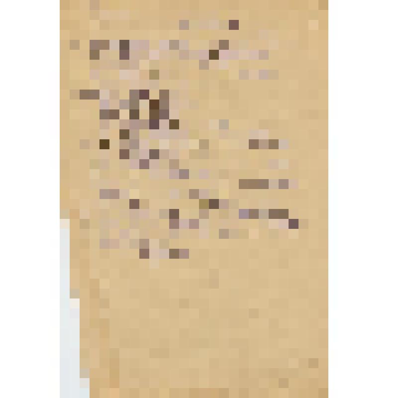 Литературная рукопись. Idise texter