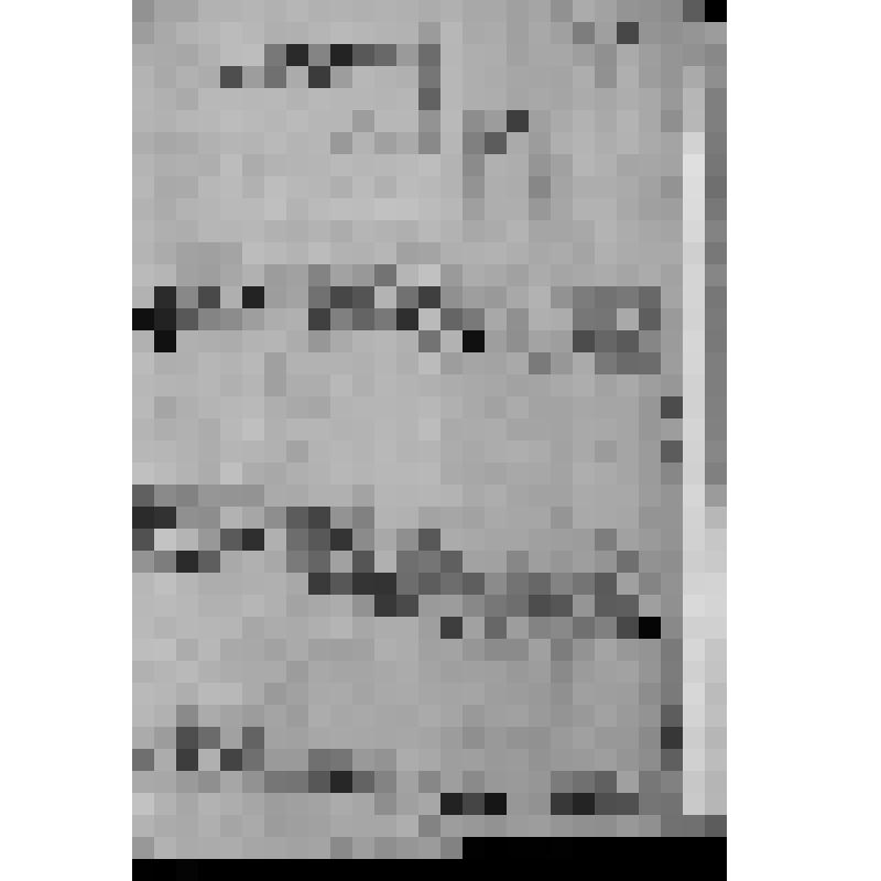 КОПИЯ РАПОРТА