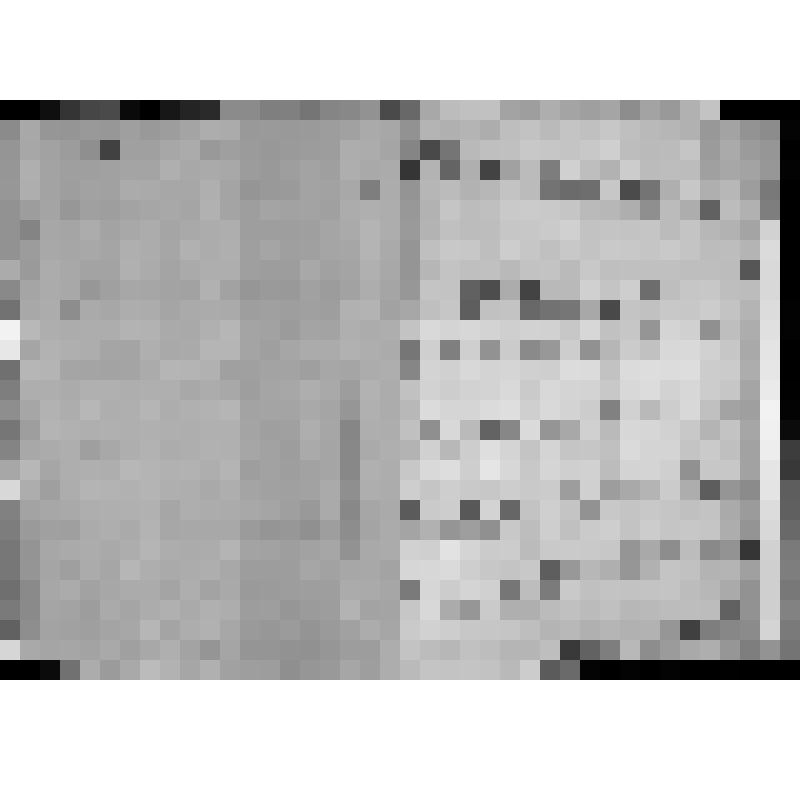 КОПИЯ РАПОРТА