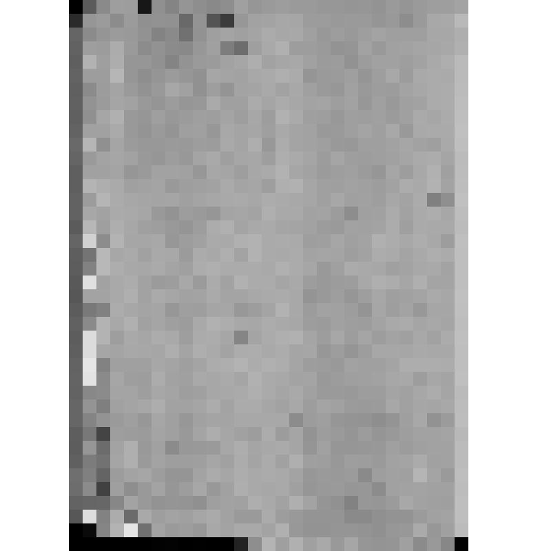 КОПИЯ РАПОРТА