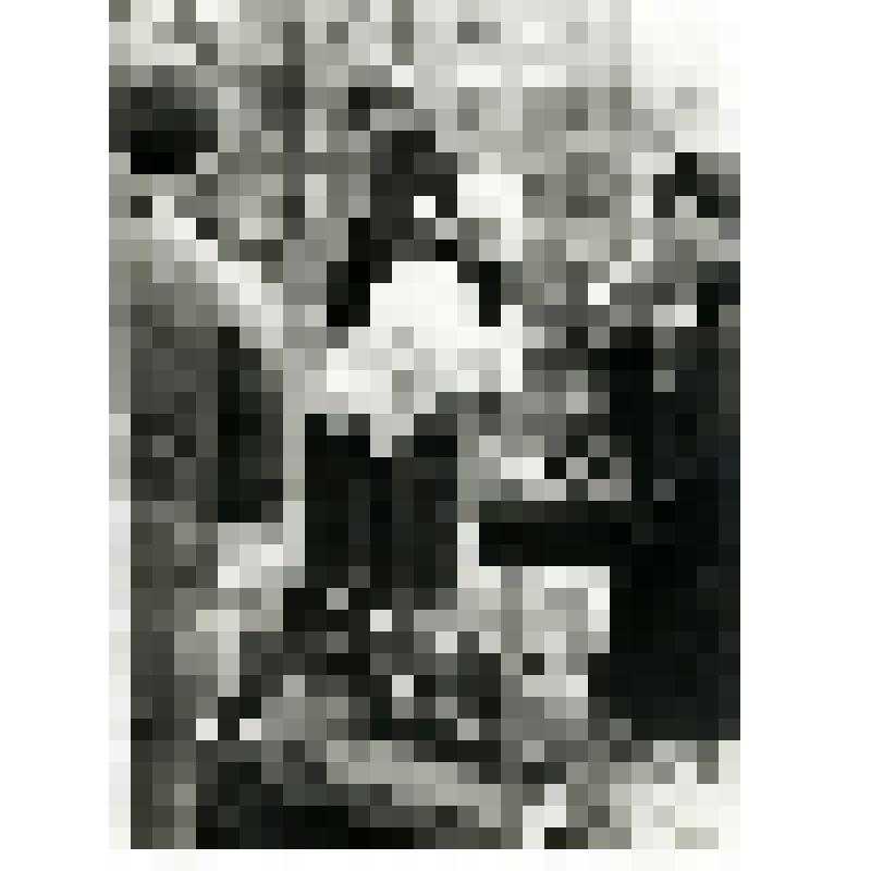 Фотография. Т. Снитко, кандидат в народные депутаты СССР, на субботнике