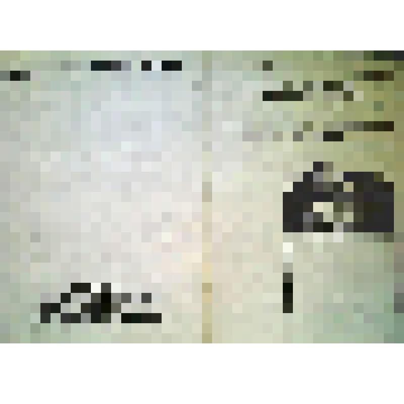 Учетная карта-паспорт элемента исторической застройки к историко-архитектурному опорному плану и проекту зон охраны. РСФСР, Тульская область, г. Тула, Зареченский р-н, квартал №43, ул. Герцена, д.13