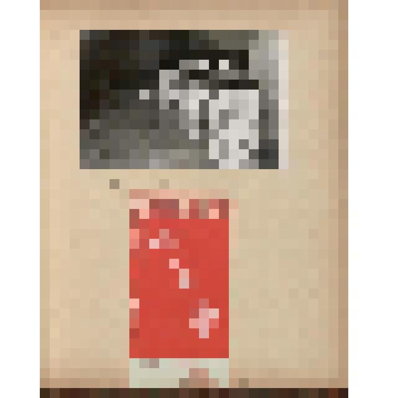 Фотография. Фотоальбом: Турне Донского казачьего хора С. Жарова по Японии в 1956 г. Лист 9. Три фотографии С.Жарова с японскими детьми (две на оборотной стороне листа) и билет на концерт донского казачьего хора
Лист 8.
 (