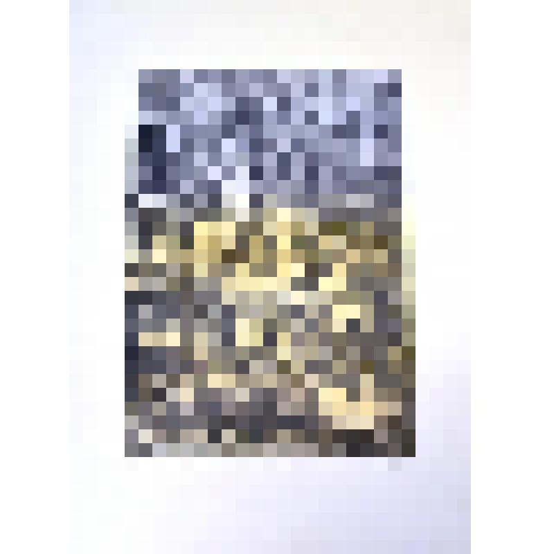 Линография "1919 г. в жизни М.Цветаевой"