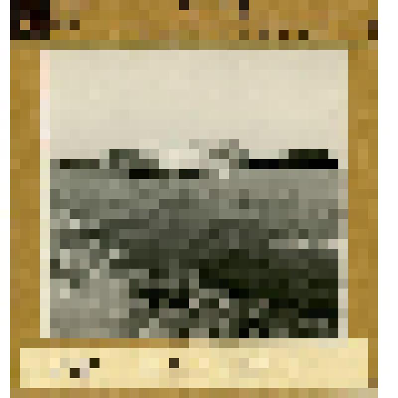 Карточка, т/х "Волга" на Дунае