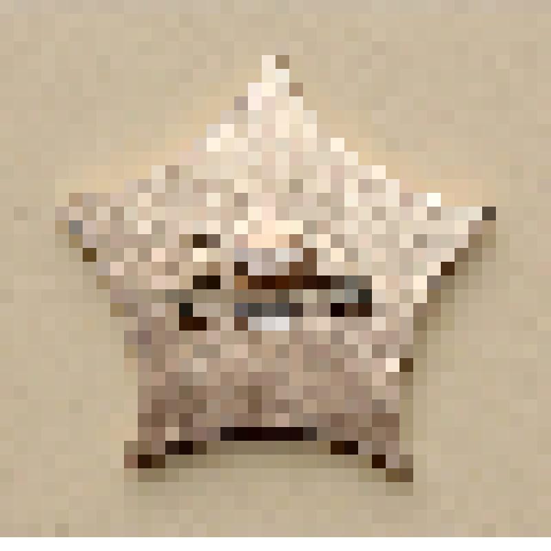 Значок "Симбирск Ульяновск"