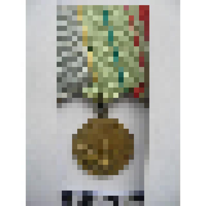 Медаль "За оборону Ленинграда" Кормилицына Михаила Ивановича