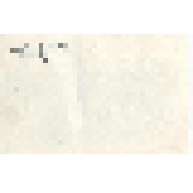 Фотография. Встреча ветеранов 310 стрелковой дивизии на киришской земле 24 февраля 1969г