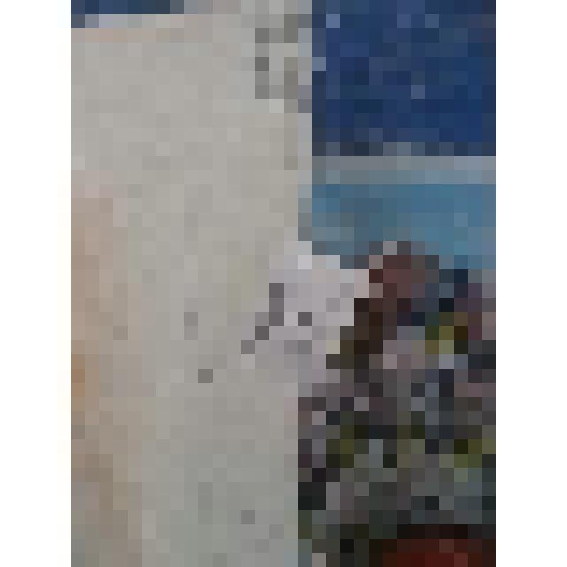 Картина (Коврик настенный)