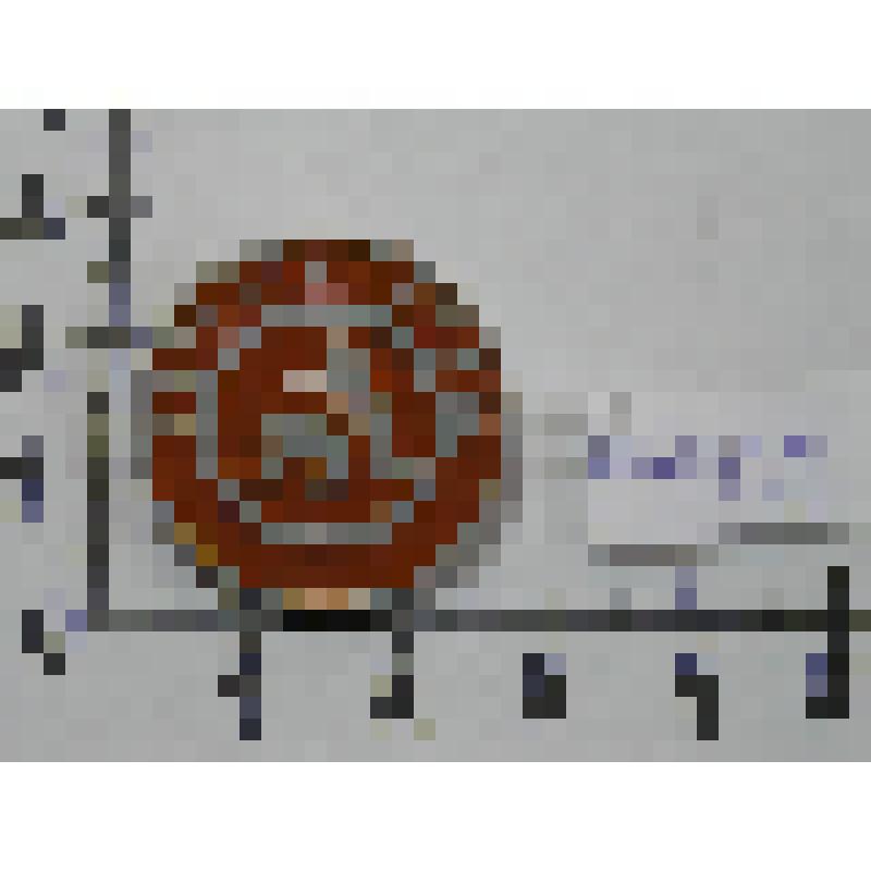 Значок сувенирный - вольная борьба