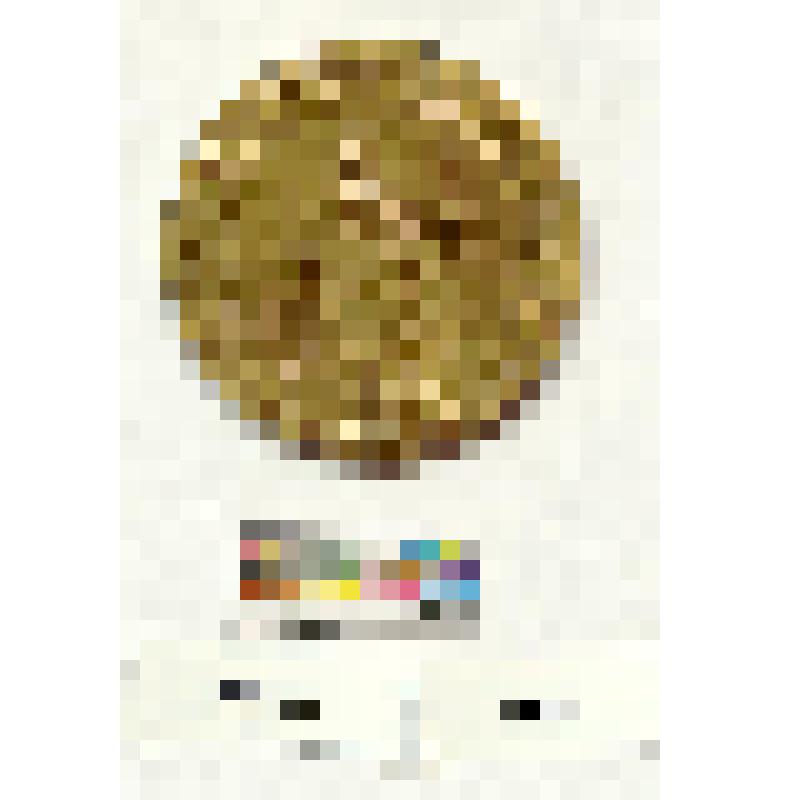 Латвия. Медаль. Сельскохозяйственная выставка в Гольдинге