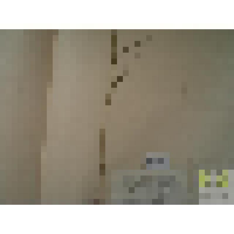 Костер безостый (Zerna inermis Lindm.)