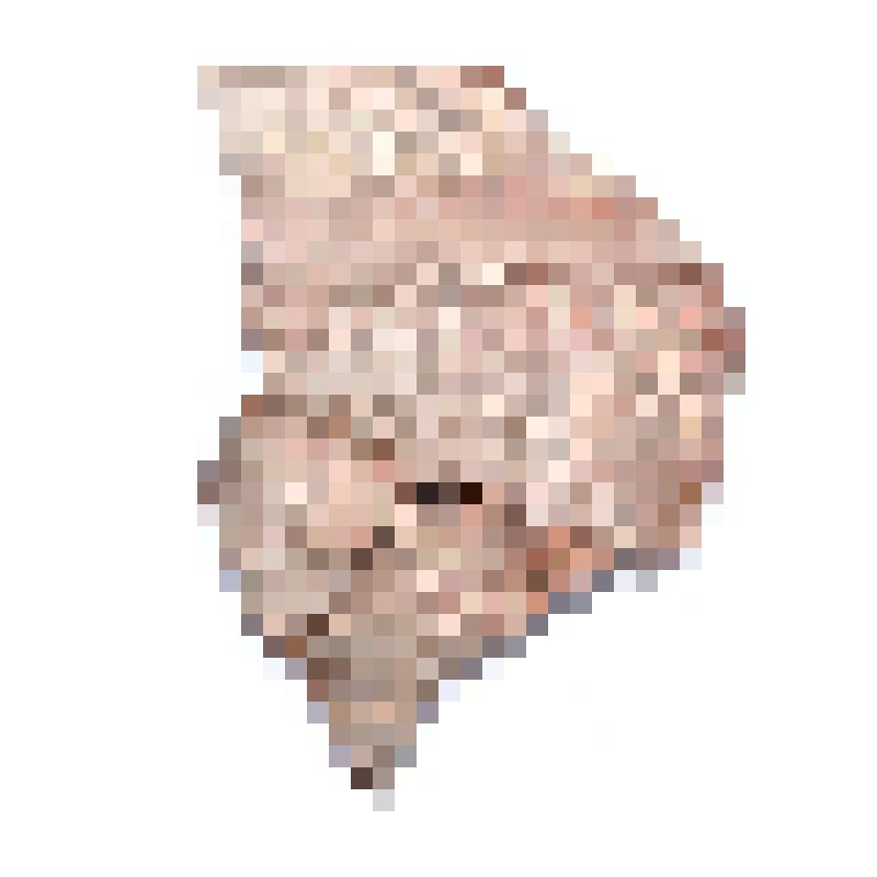 Сосуд (фрагмент)