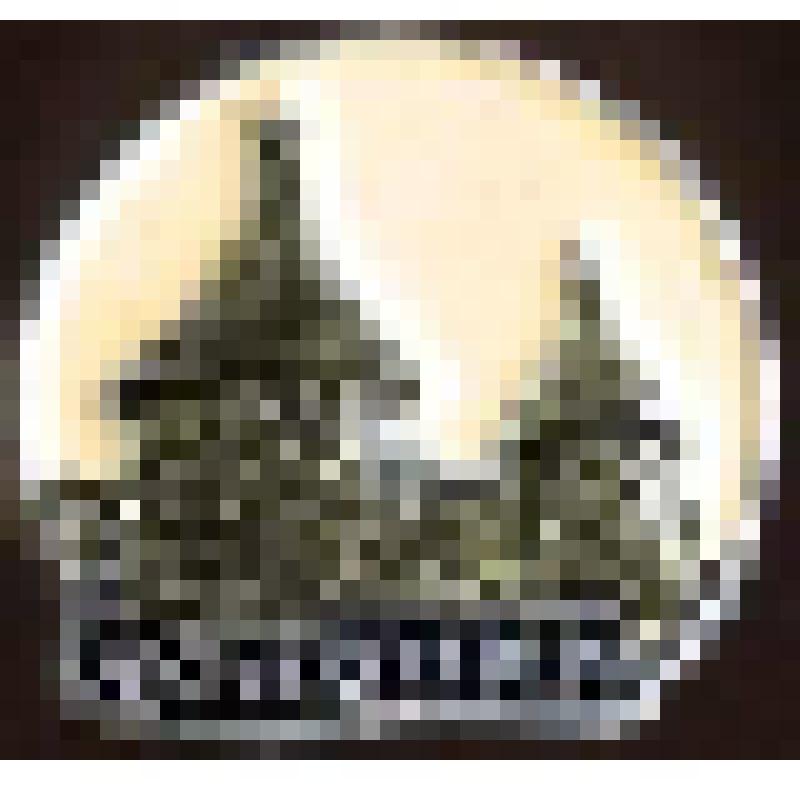 Значок "Соловки"