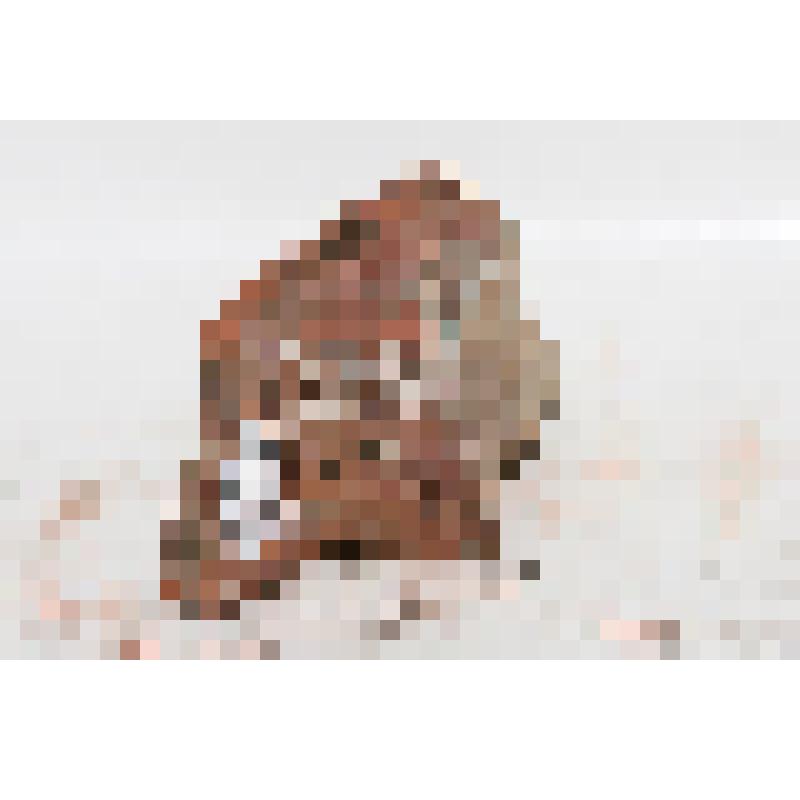 Изразец - валик (фрагмент) рельефный полихромный