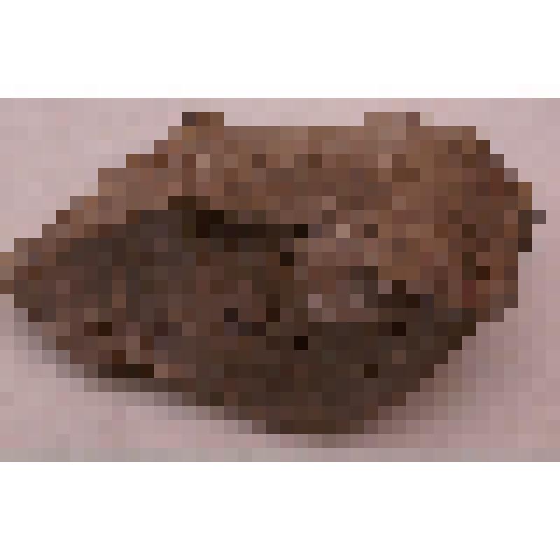 Опаловый камень