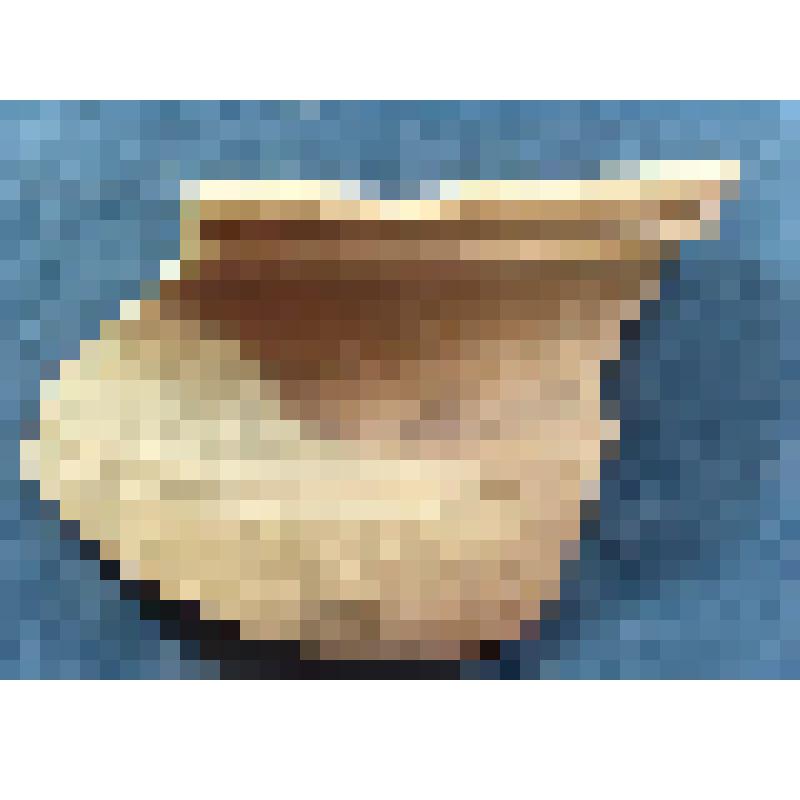 Фрагмент верхней части лепного сосуда