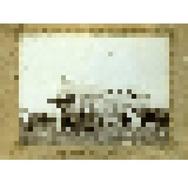 Фотография «Открытие первой выставки в городе Кириллове»