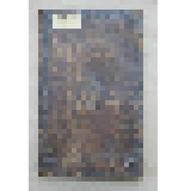 Книга рукописная. Книга глаголемая Будильник или  Колесница Четверочастная. 1753