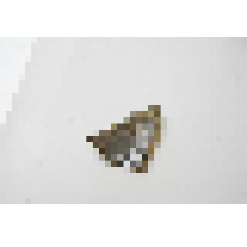 Стенка сосуда