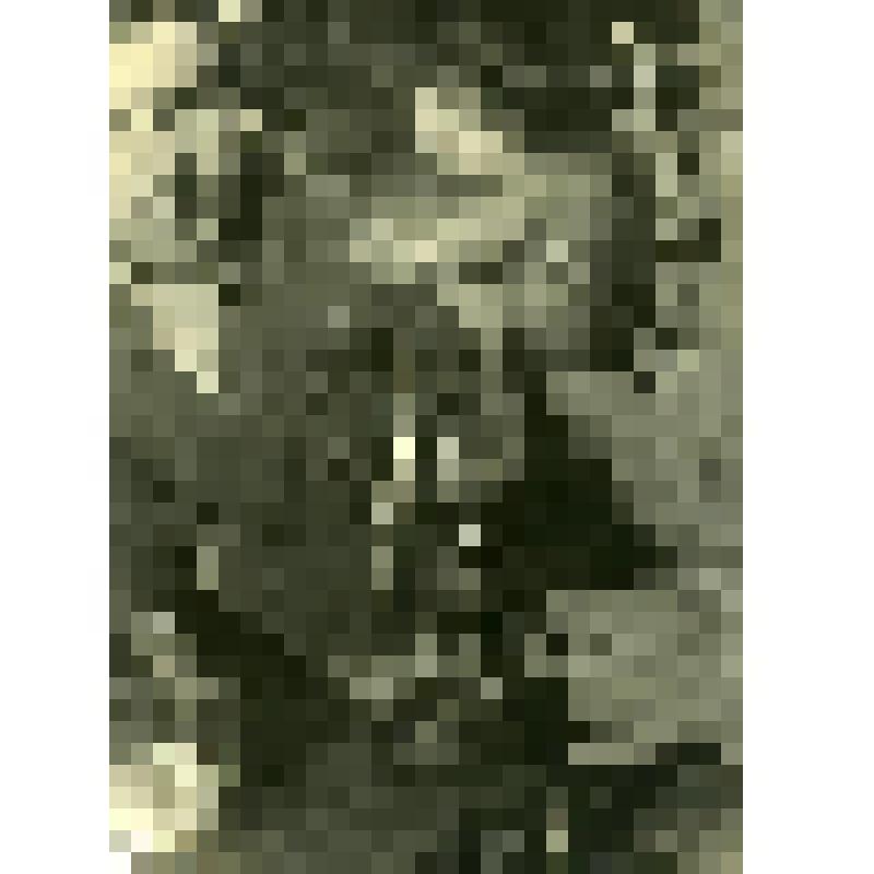 Фотография. Занятия в колхозной хате-лаборатории