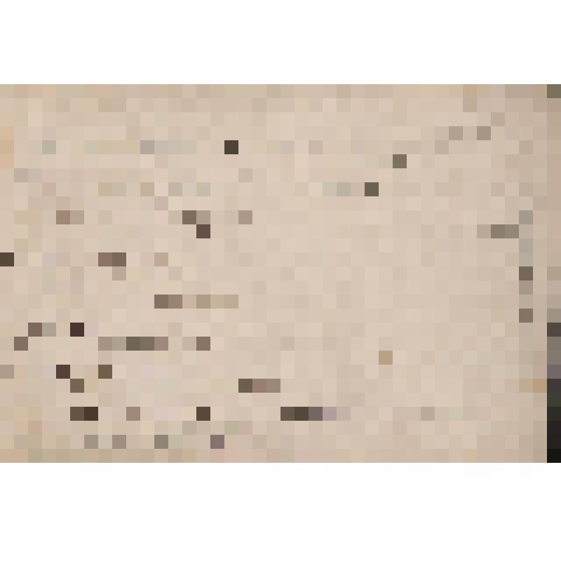 Открытка. Портрет Владимира Соловьева