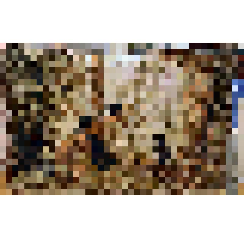 Ковер ворсовый настенный "Медведица с тремя медвежатами в лесу"