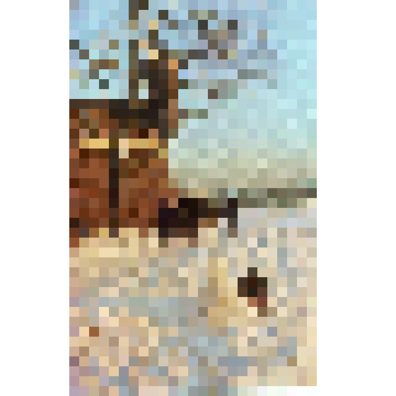 Открытка цветная Ленинград. У стен Петропавловской крепости. Лениздат. 1960-е гг. СССР