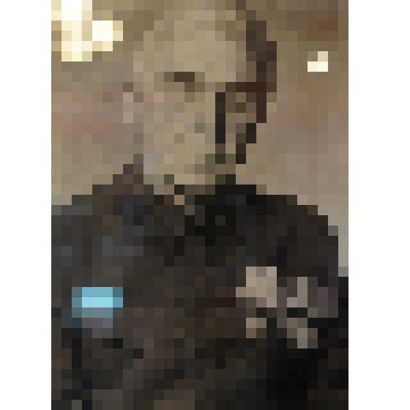 Фото Воронцова Ивана Трофимовича - бывшего начальника разведки партизанского отряда "Красный орёл", комиссара партизанского отряда "Красный орёл" в 1920-21гг., комиссара кавалерийского 2-о эскадрона 4-о кавдивизиона на Восточном фронте, члена красноорловс