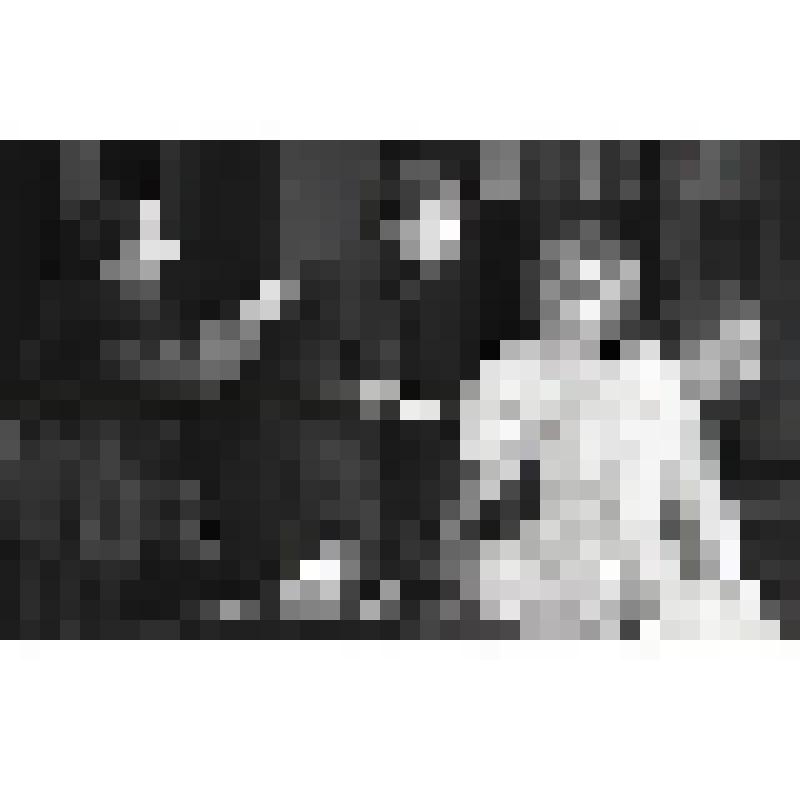 Негатив черно-белый. Марина - Дементьева В.А.;  Соня - Якунина В.С.;  Елена Андреевна - Вертинская А.А.;  Серебряков - Смоктуновский И.М. "Дядя Ваня" (1985)