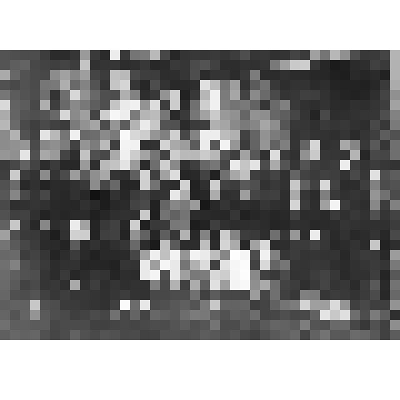 Фотография групповая, комсомольского и партийного актива п. Камешково на учёбе в г.Коврове