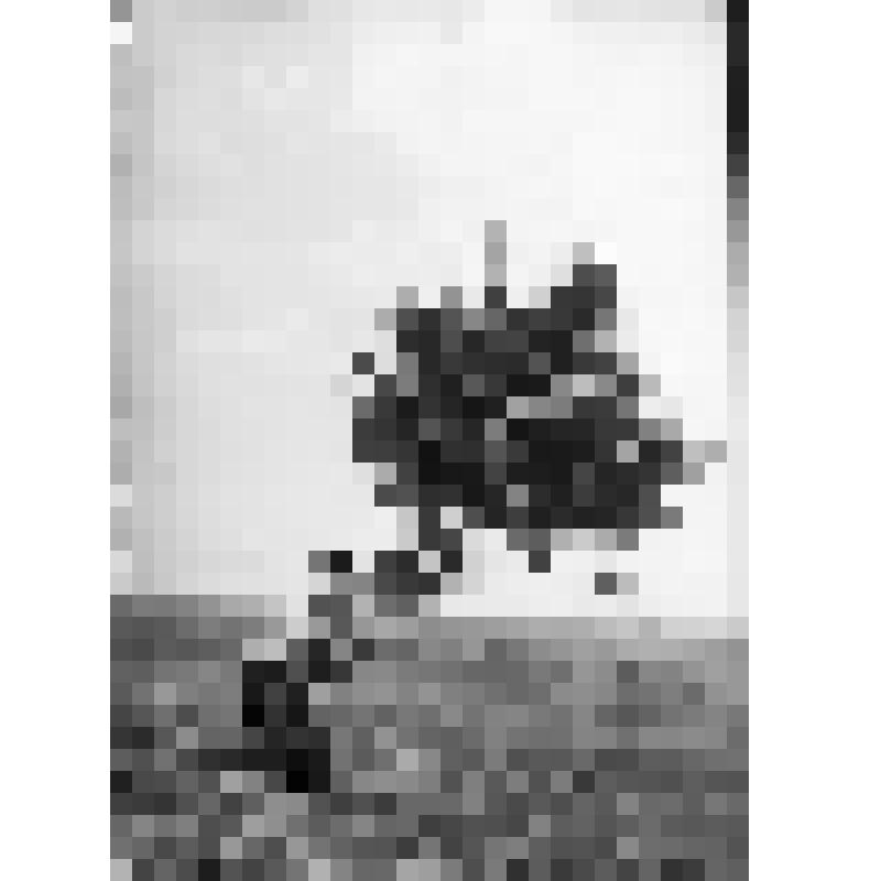 Негатив на стекле: Окрестности озера Шира